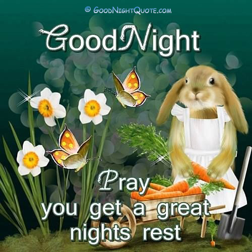 Good Night Pray You Get a Great Rest Quotes