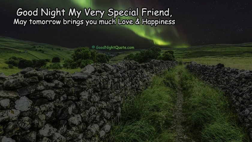 Good Night Quote for Special Friend
